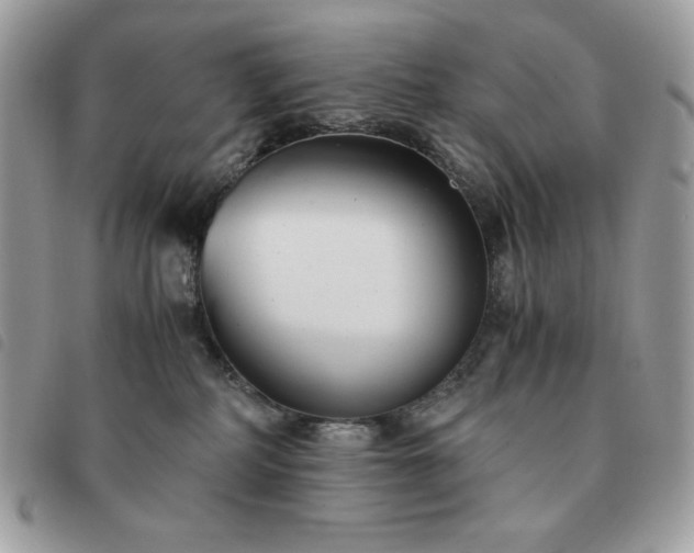 X0000091300234200708171359