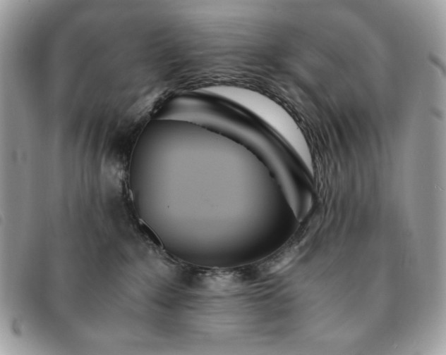 X0000091300235200708171359