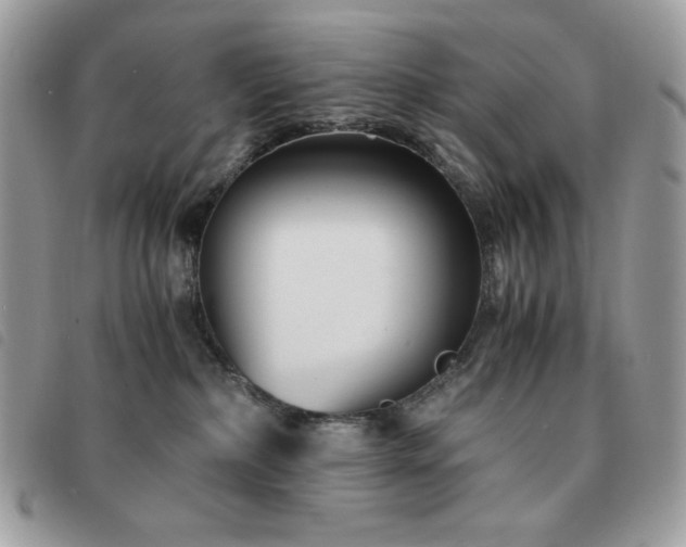 X0000091300236200708171359