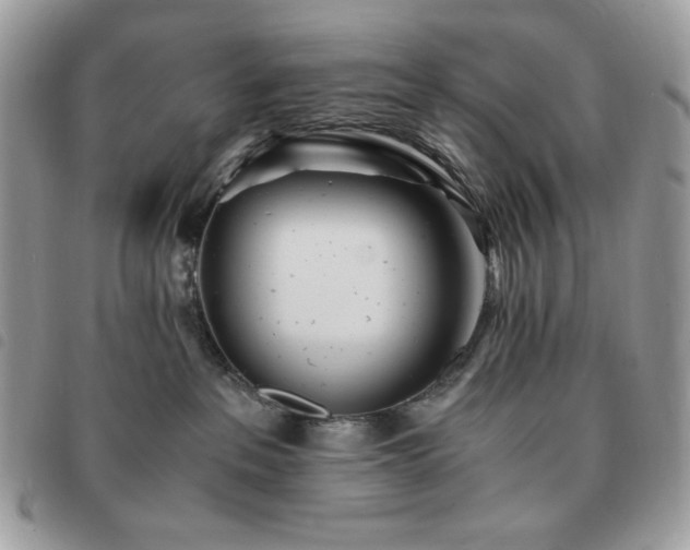 X0000091300237200708171359