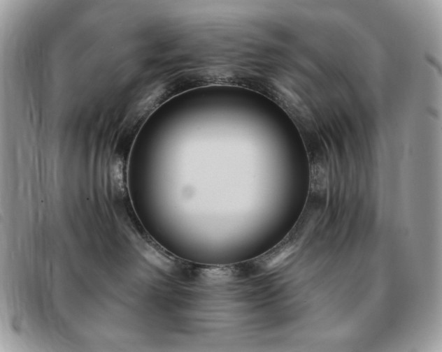 X0000091300238200708171359