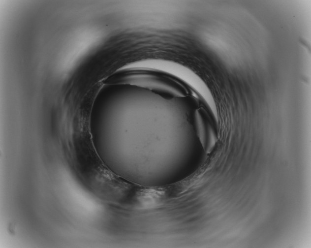 X0000091300239200708171359