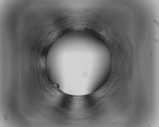 X0000091300240200708171359