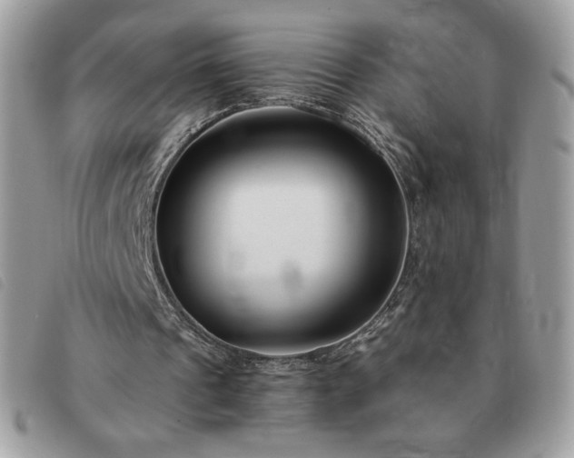 X0000091300241200708171358