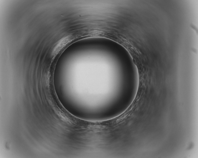 X0000091300242200708171358