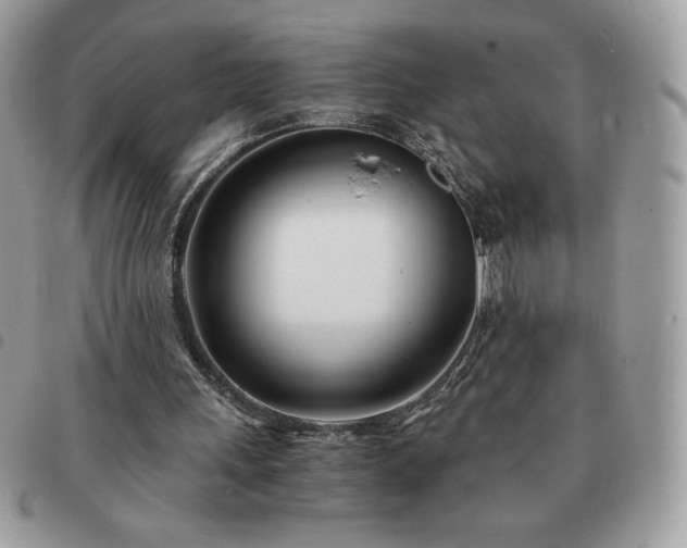 X0000091300243200708171358