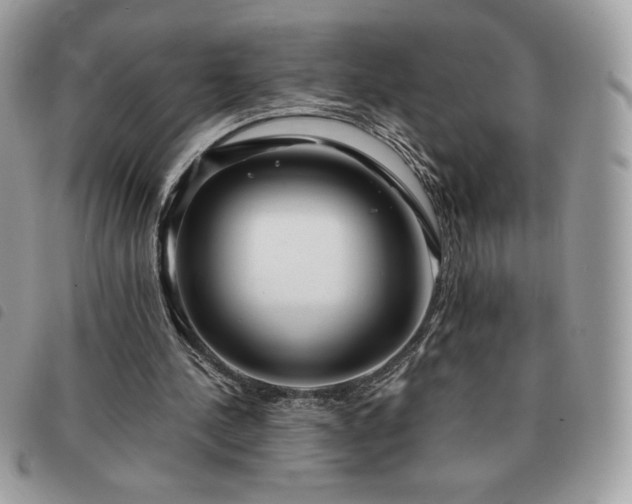 X0000091300244200708171358