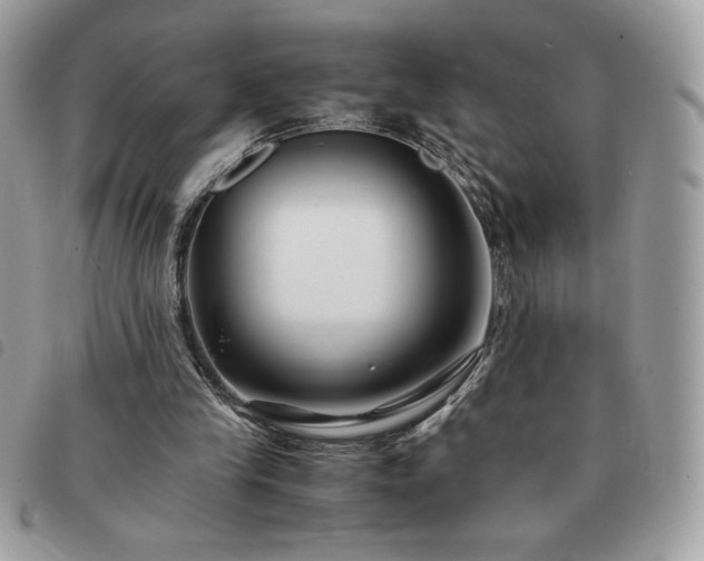 X0000091300245200708171358