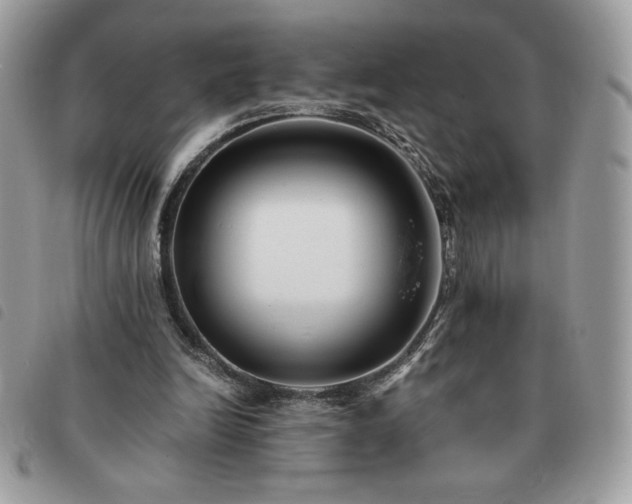 X0000091300246200708171358