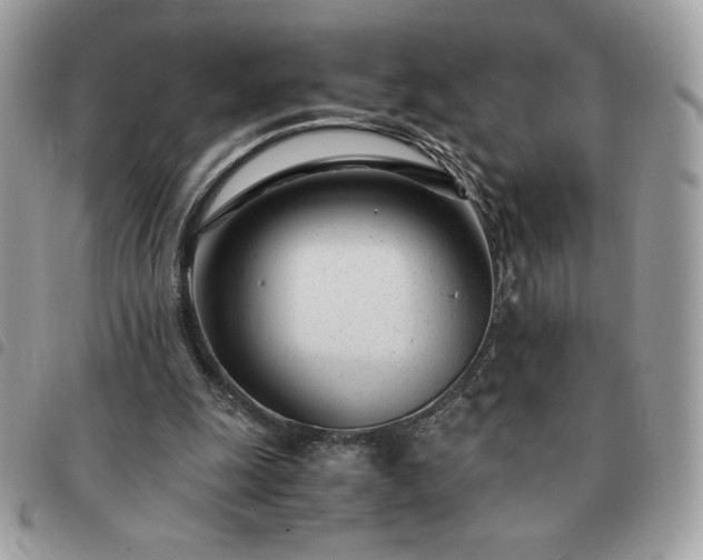 X0000091300247200708171358