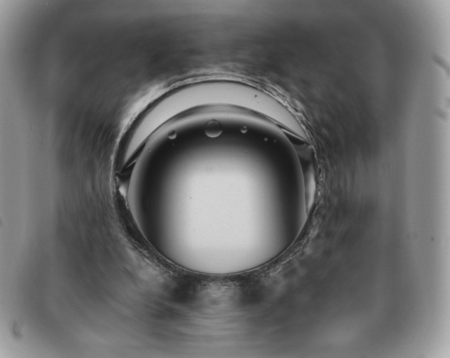 X0000091300248200708171358