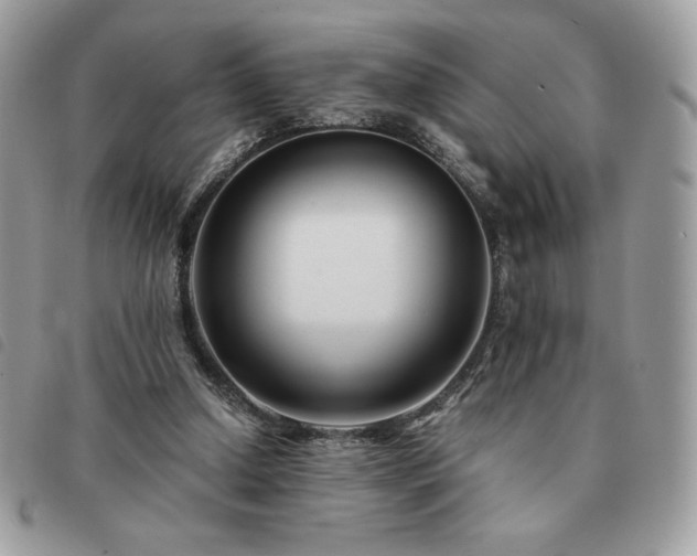 X0000091300250200708171358