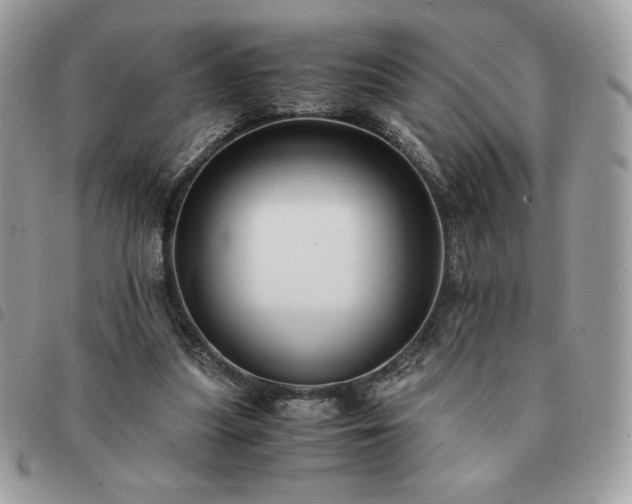 X0000091300251200708171358