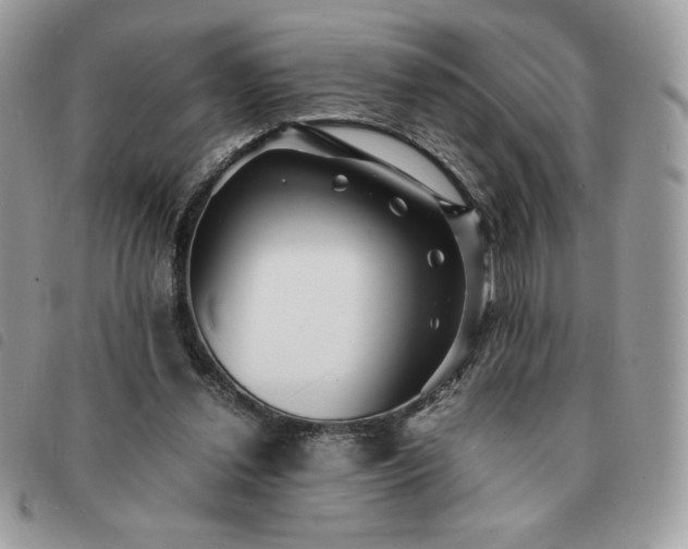 X0000091300252200708171358