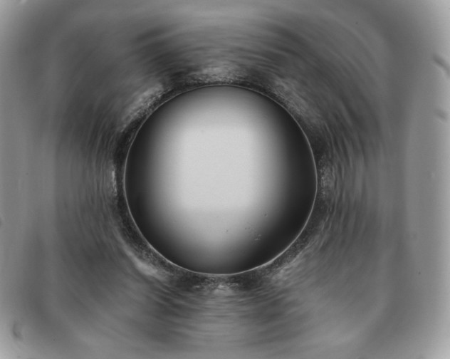 X0000091300254200708171358