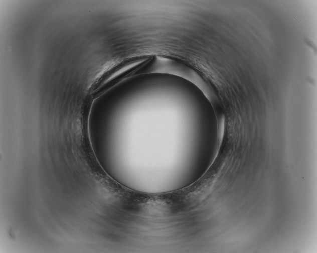 X0000091300256200708171358