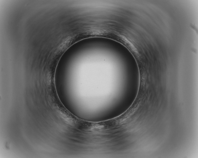 X0000091300257200708171358