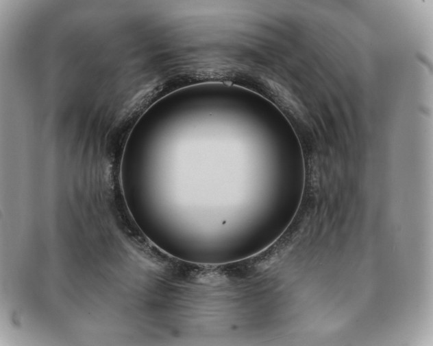 X0000091300258200708171358