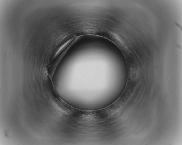 X0000091300259200708171358