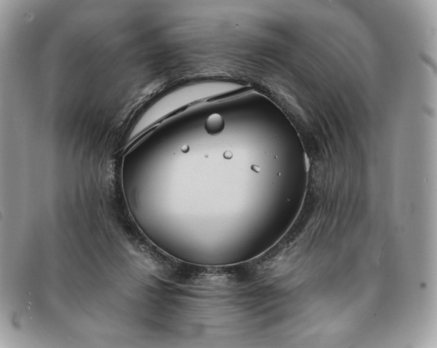 X0000091300260200708171358