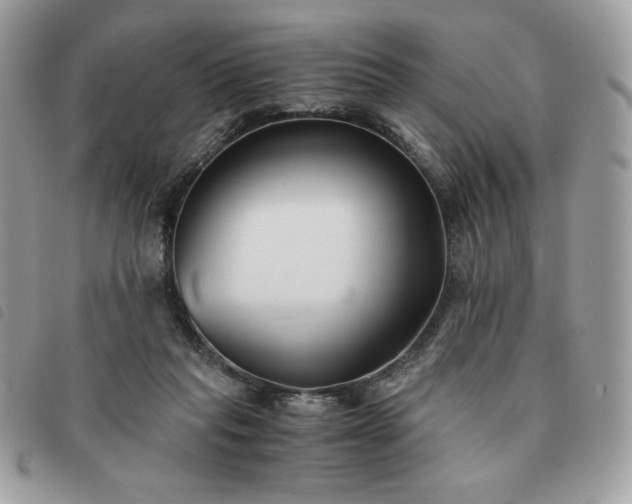 X0000091300261200708171358