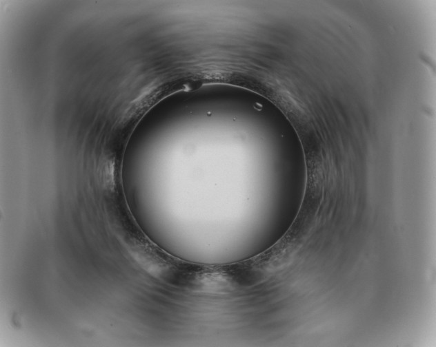 X0000091300262200708171358