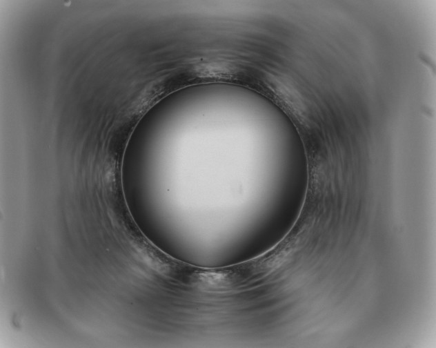 X0000091300265200708171359