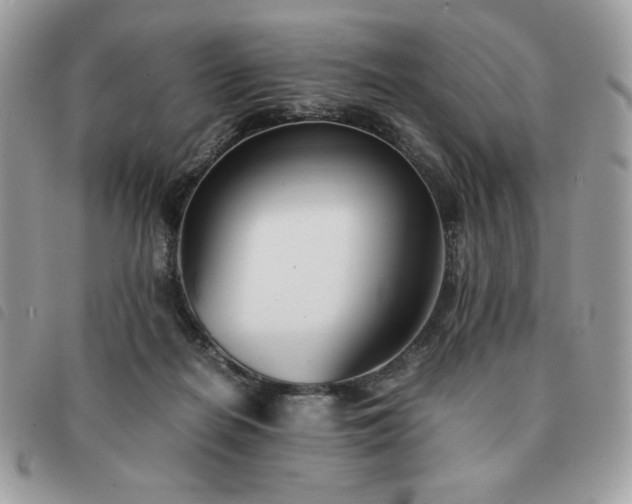 X0000091300266200708171359