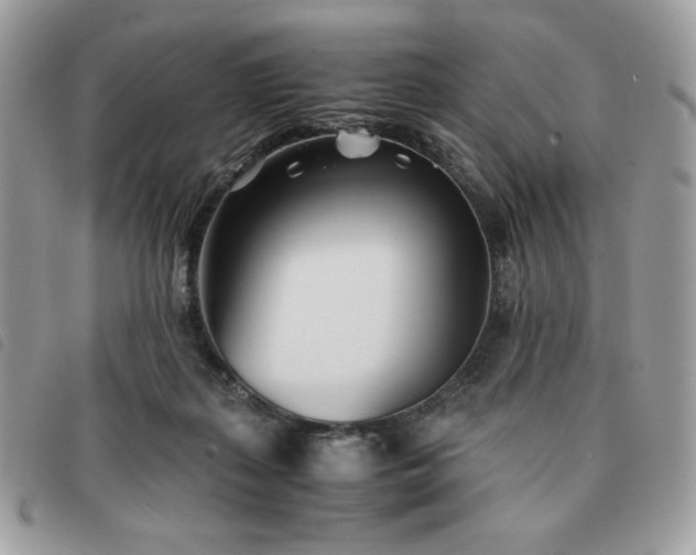 X0000091300267200708171359