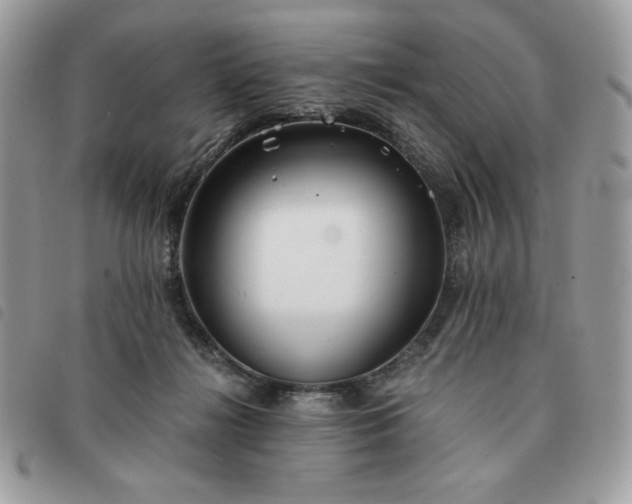 X0000091300268200708171359