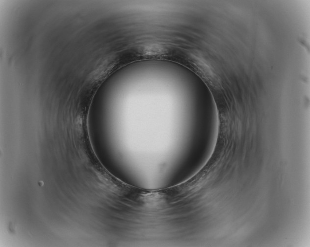 X0000091300269200708171359