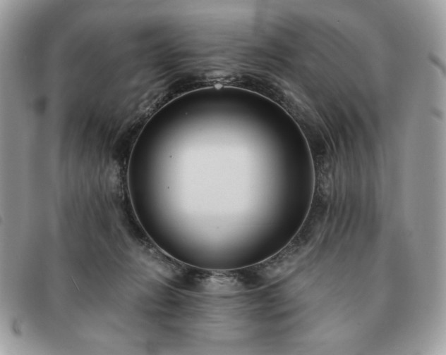 X0000091300270200708171359