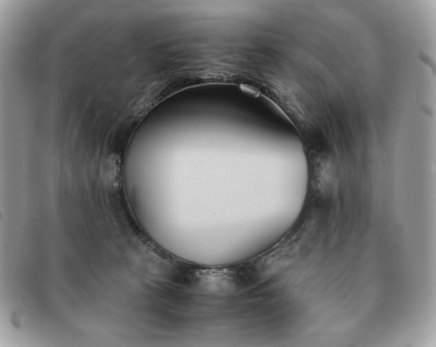 X0000091300273200708171359