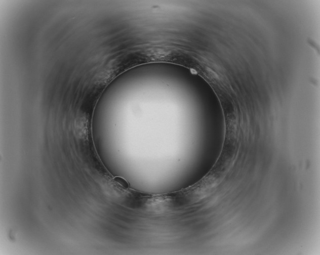 X0000091300274200708171359