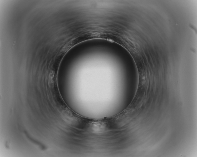 X0000091300275200708171359