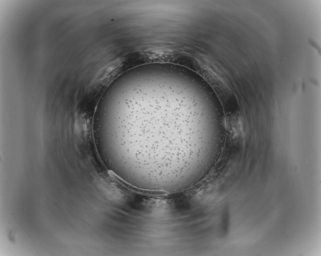 X0000091300276200708171359