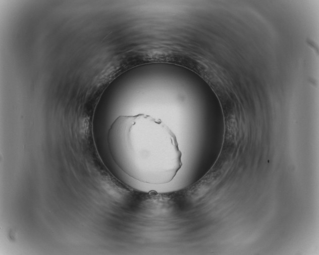 X0000091300278200708171359