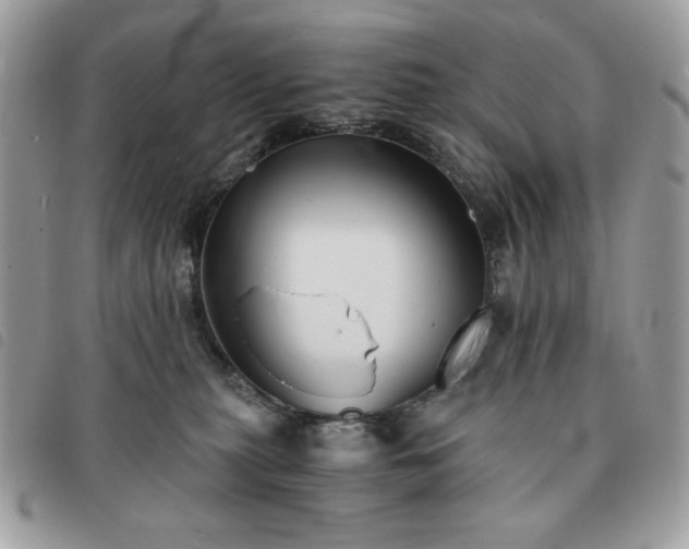 X0000091300279200708171359