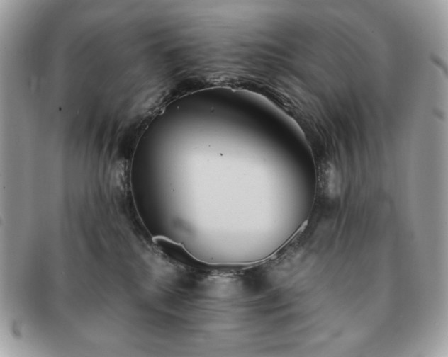 X0000091300280200708171359