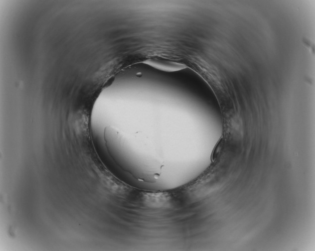 X0000091300281200708171359