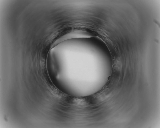 X0000091300283200708171359