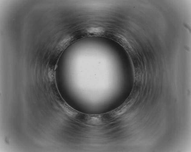 X0000091300285200708171359