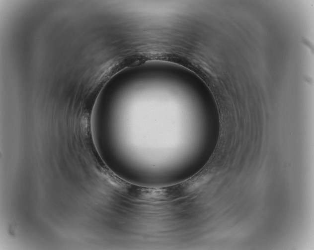 X0000091300288200708171359