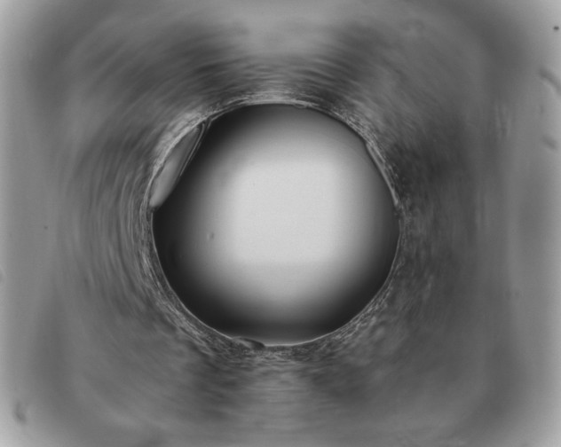 X0000091300289200708171358