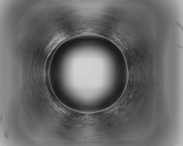 X0000091300290200708171358