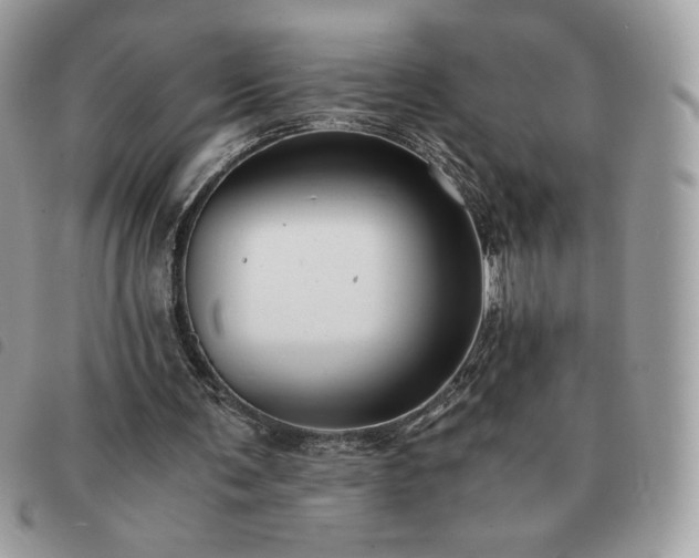 X0000091300291200708171358