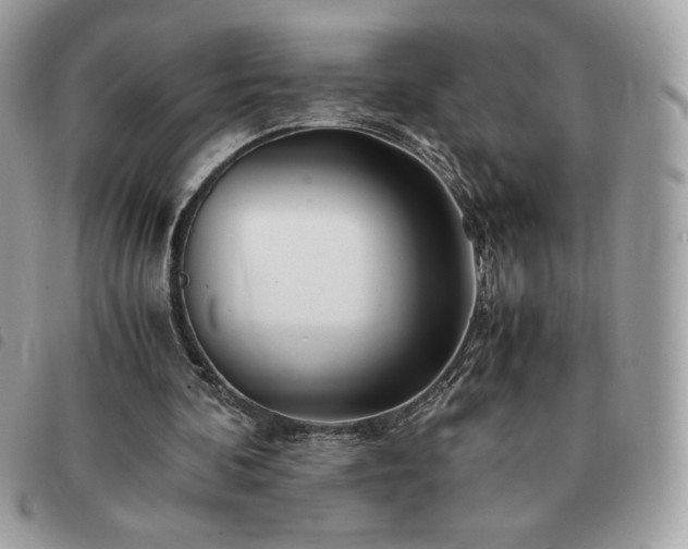 X0000091300292200708171358