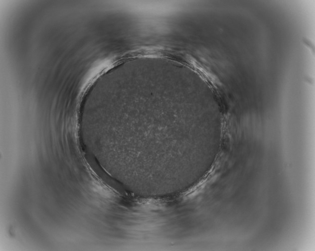 X0000091300293200708171358