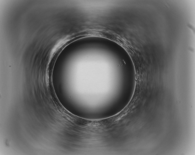 X0000091300294200708171358