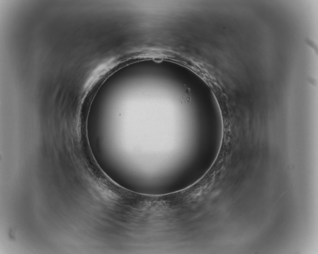 X0000091300296200708171358